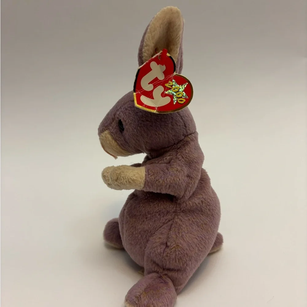 2000 TY BEANIE BABY SPRINGY